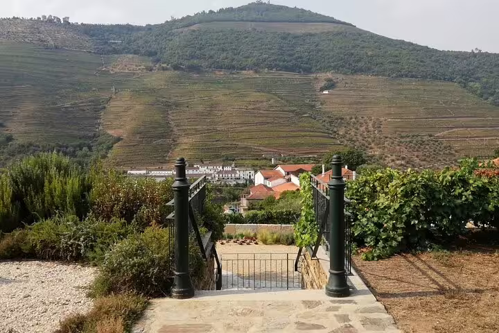Scenic view of Douro Valley vineyards and hillside, perfect for wine tasting and river cruise adventures.