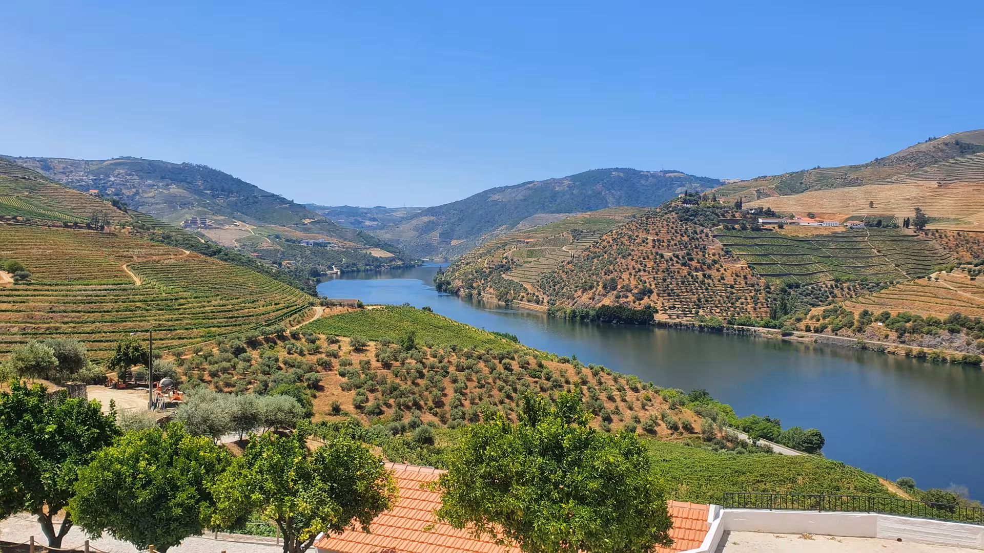 Douro Valley river viewpoint with terraced vineyards, ideal for winery visits, wine tasting and scenic boat cruise