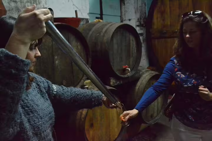 Guests sample wine straight from the barrel during a Douro Valley vineyard tour experience.