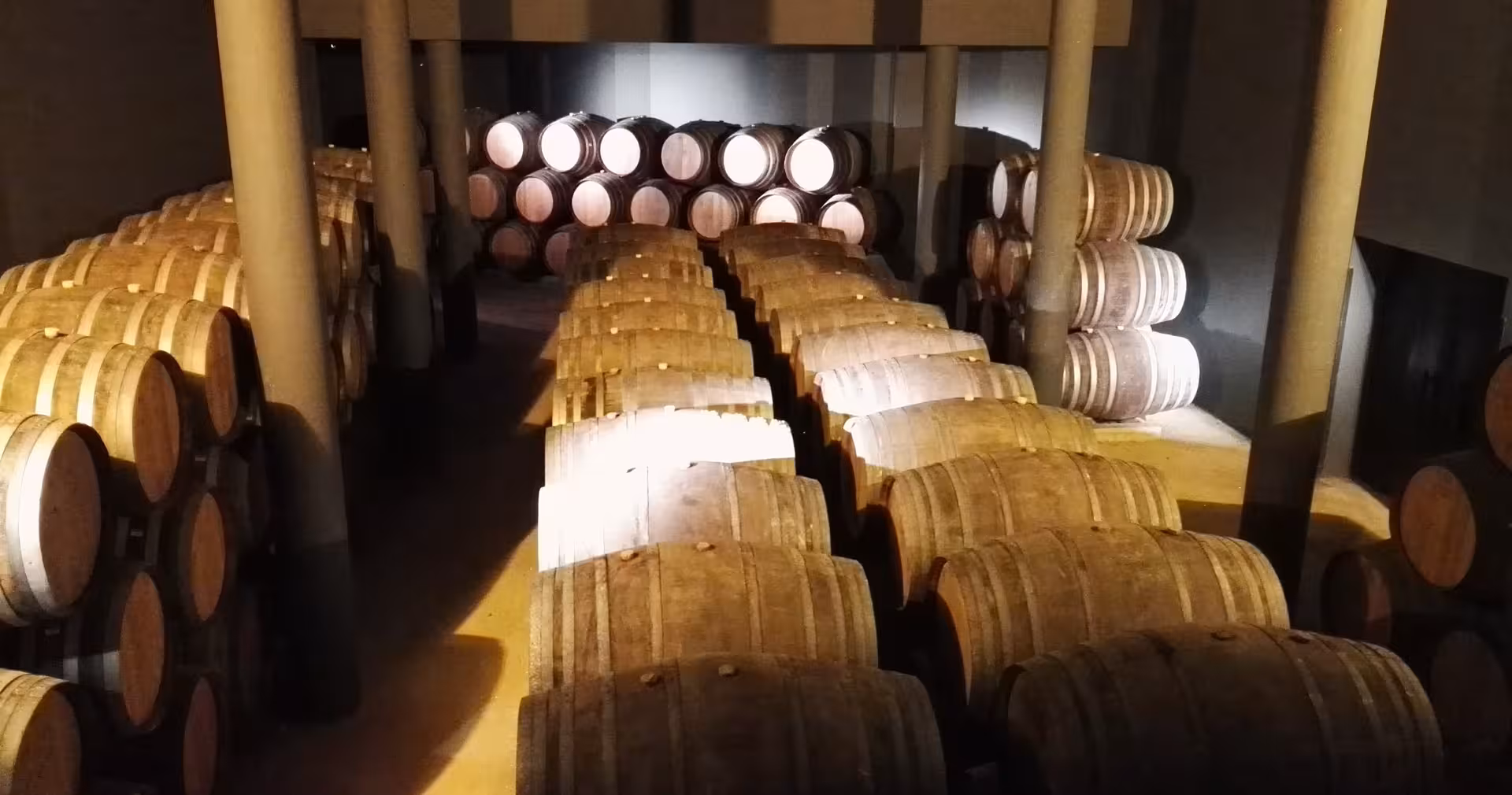 Oak barrels aging Portuguese wine in a Douro Valley cellar, included on 7-day Lisbon to Porto tour