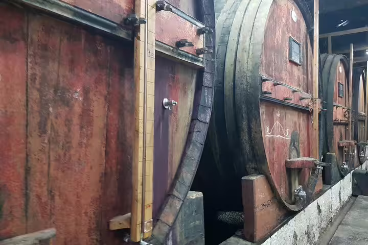 Rustic wine barrels inside a traditional Douro Valley vineyard cellar, showcasing authentic wine aging process.