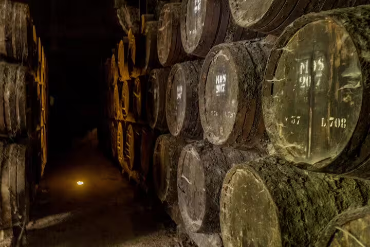 A dimly lit wine cellar with aged barrels in the Douro Valley, showcasing an exclusive private tour experience from Lisbon.