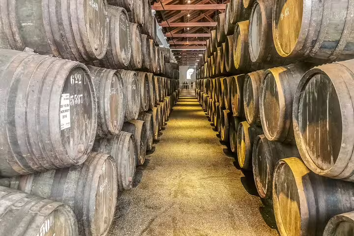 Rows of oak barrels in a wine cellar during a Douro Valley private tour from Lisbon, showcasing Portugal's renowned wine production.