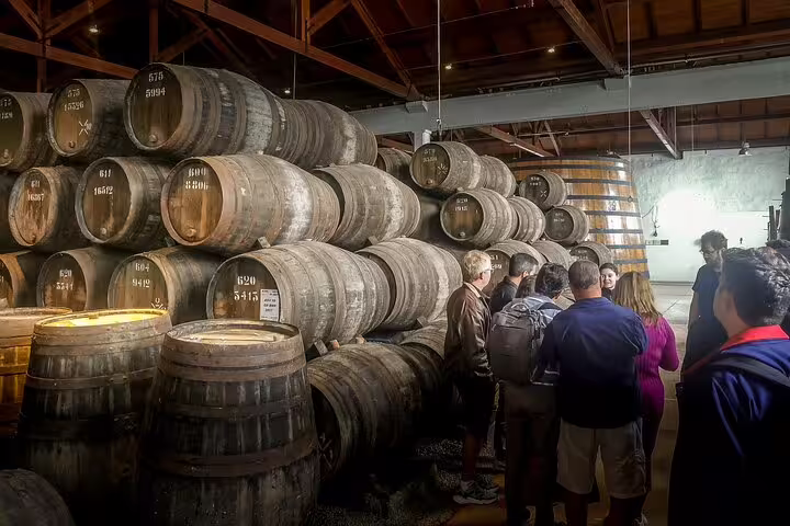 Visitors explore a wine cellar in Douro Valley, surrounded by oak barrels, during a private tour from Lisbon.