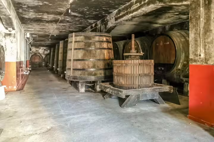 Explore the Douro Valley's historic wine cellar with large wooden barrels on a private tour from Lisbon, perfect for wine enthusiasts.