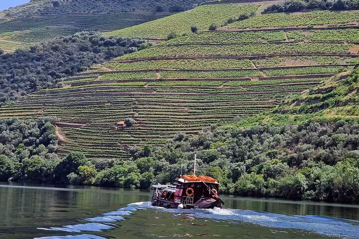 Traditional boat cruising the Douro River past terraced vineyards on an expert-guided wine tasting tour