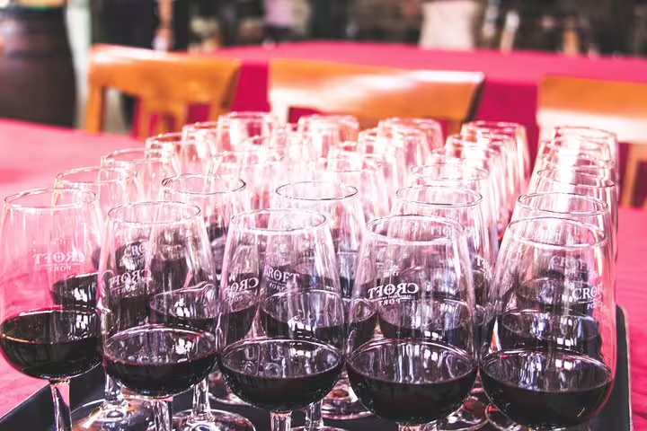 Array of red wine glasses ready for tasting on the Douro Valley Historical & Wine Tour from Porto.