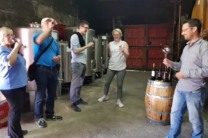 Group enjoying wine tasting at a Douro Valley vineyard, highlighting the authentic Portuguese wine experience.