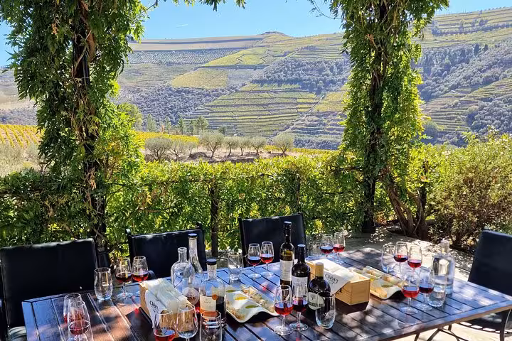 Outdoor Douro Valley wine tasting lunch on terrace with vineyard views, expert guide tour and bottle offer