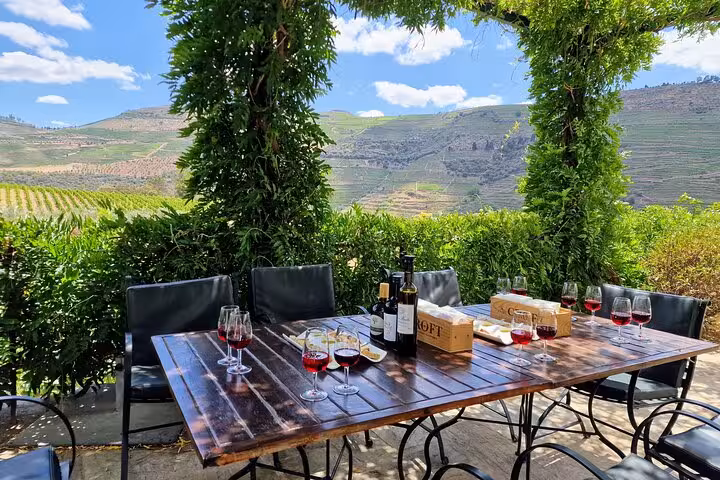 Wine tasting table overlooking Douro Valley vineyards, private luxury tour with winery visits and 5-star lunch