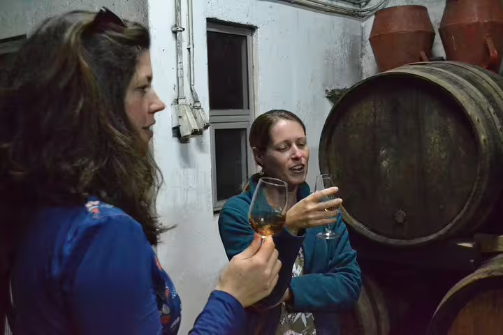 Tourists enjoying wine tasting beside oak barrels in Douro Valley winery visit.