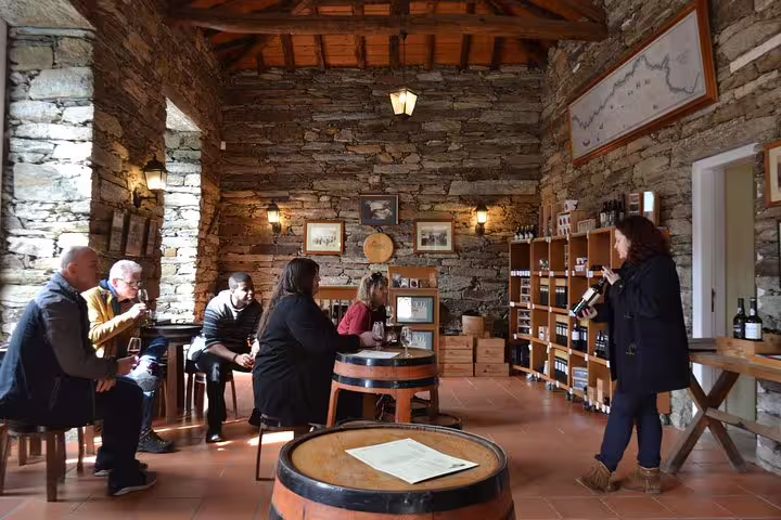 Wine enthusiasts enjoy a tasting session in a rustic Douro Valley vineyard cellar during a private tour from Porto.