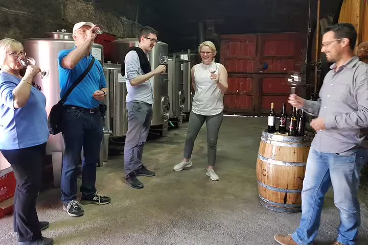 Group enjoying wine tasting at a Douro Valley vineyard with stainless steel tanks in the background.