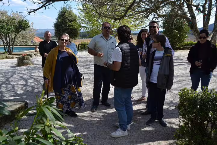Group of tourists enjoying a sunny wine tasting experience in a picturesque vineyard setting.