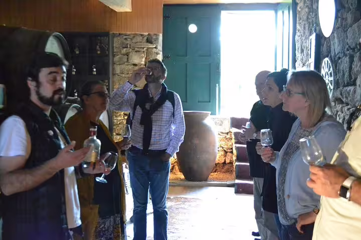 Wine tasting session at a Douro Valley winery with a group enjoying local wine and vineyard ambiance.