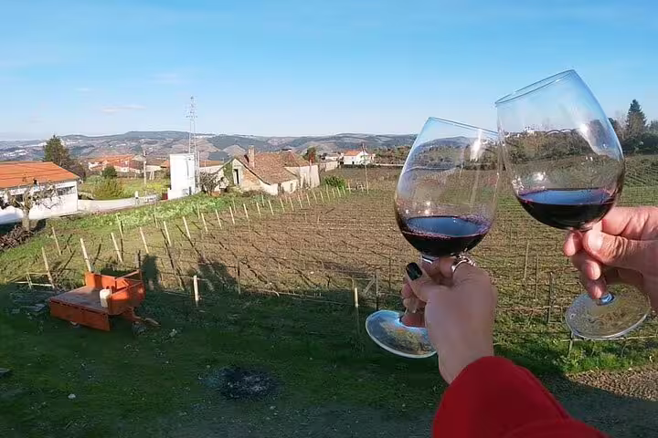 Two people toasting with red wine glasses overlooking scenic Douro Valley vineyards under a clear blue sky.