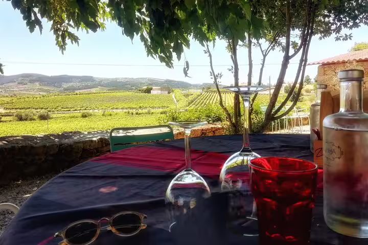Scenic Douro Valley vineyard with wine glasses on a table, perfect for wine tasting and picturesque views.