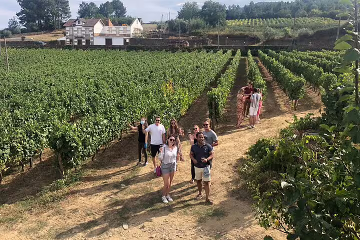 Group enjoying a vineyard walk during the Douro Valley wine tasting tour, surrounded by lush grapevines.