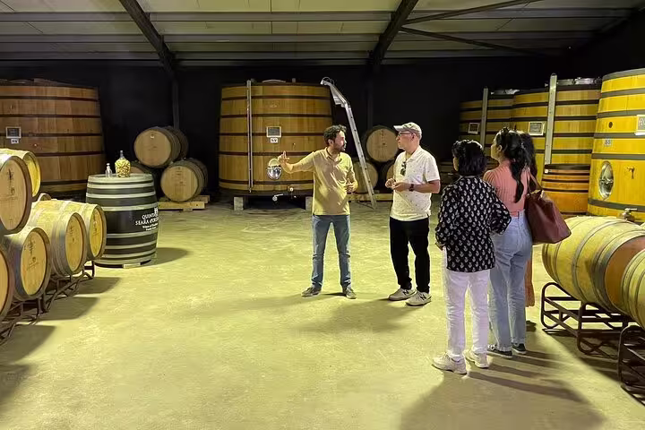 Visitors enjoying a guided wine tasting experience inside a traditional Douro Valley winery with oak barrels.