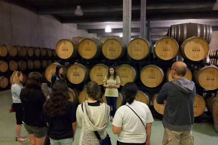 Guided wine tour in Douro Valley cellar with visitors learning about oak barrel aging process.