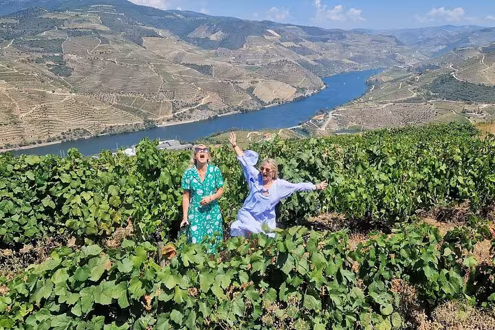 Guests in Douro Valley vineyards overlooking Douro River, guided wine tour with boat, lunch, tastings and bottle