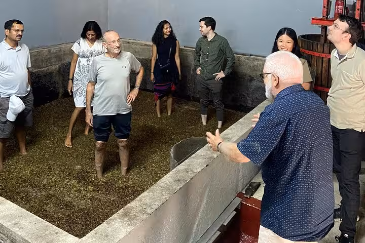 Expert guide explains grape stomping in traditional Douro Valley winery lagares during boat tour lunch and tastings