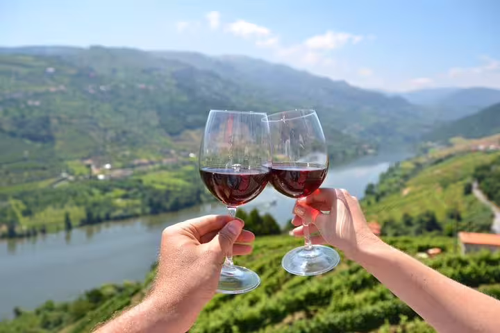 Two people clinking wine glasses overlooking the scenic Douro Valley vineyards on a private Porto wine tour.