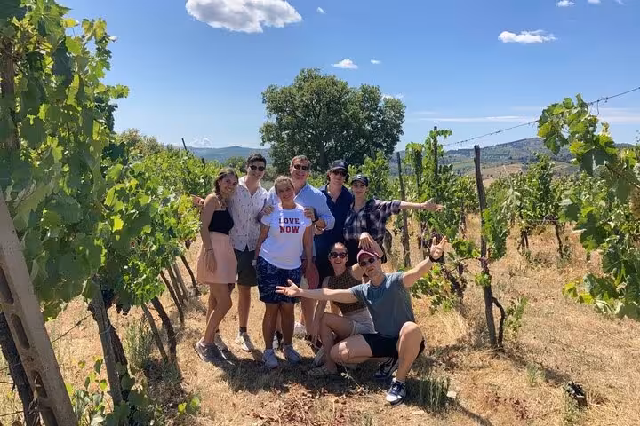 Private Douro Valley wine tour group photo in vineyard near Porto, tasting day trip with scenic views