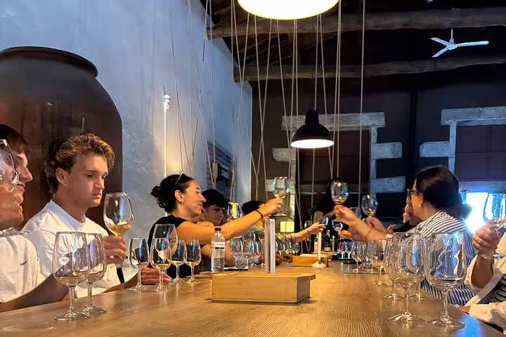 Private Douro Valley wine tasting with group toasting glasses at winery lunch stop from Porto