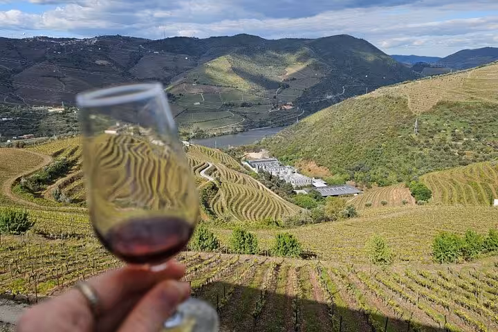 Glass of red wine overlooking terraced Douro Valley vineyards and river on private group tour with lunch and cruise