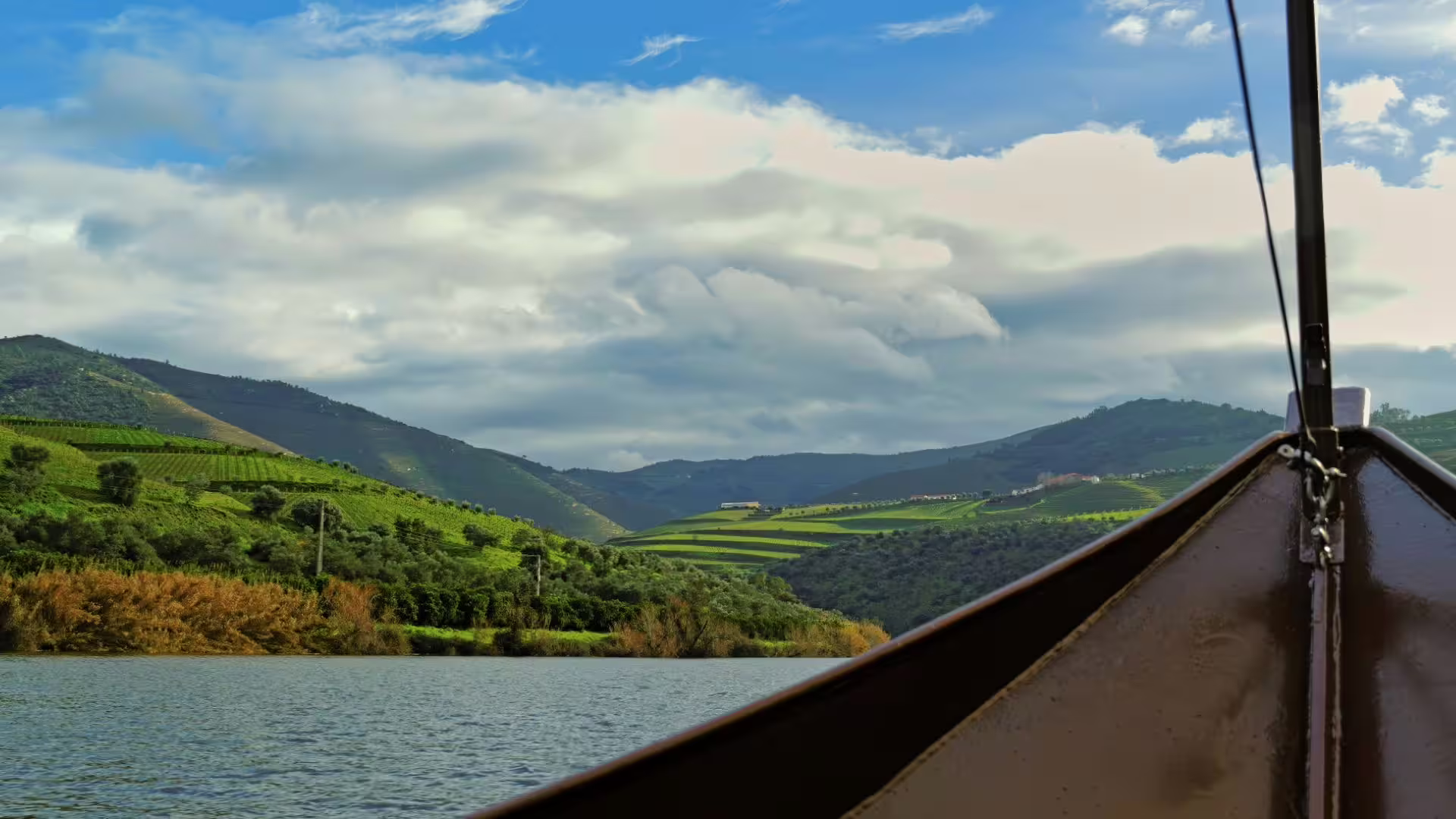 Image taken from the boat during our one-hour river cruise in the Douro on Cooltour Oporto's Douro Valley Wine Tour from Porto