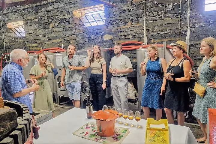 Expert-led Douro Valley winery tour with tastings in traditional cellar, small group experience and bottle offer