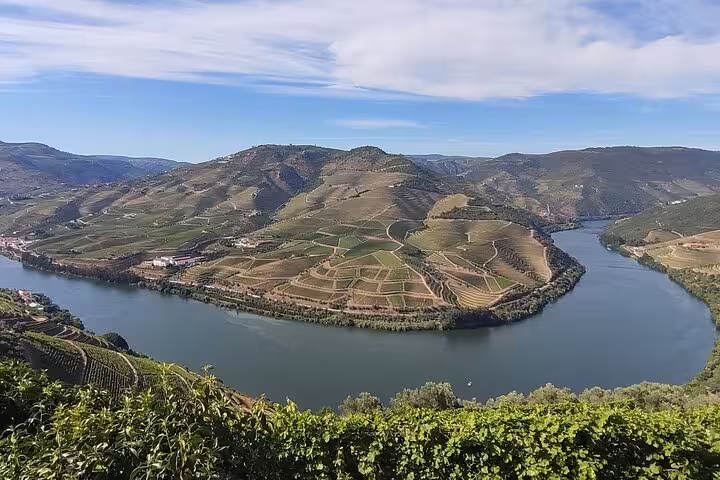 Scenic Douro Valley wine trip view of terraced vineyards and river bend, perfect for Portugal vineyard tours
