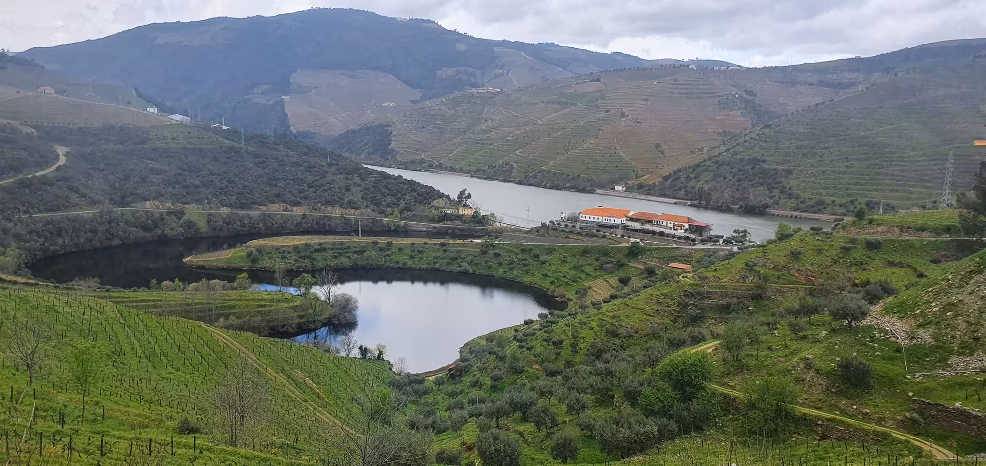 Panoramic Douro Valley bend with vineyards and riverside winery, featuring two winery visits, tastings and boat ride