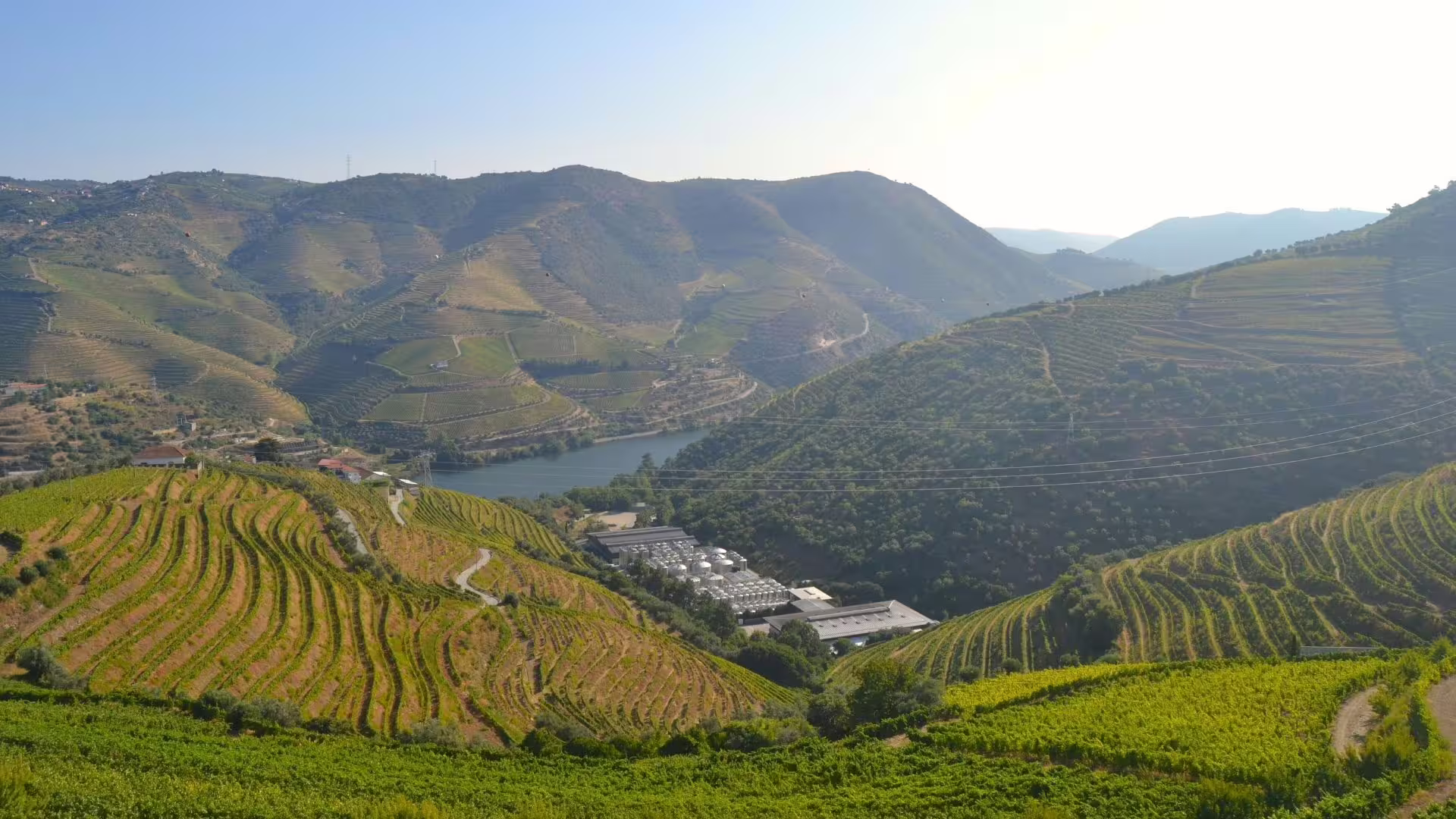 Image from several vineyards and the Douro River at the top of a hill