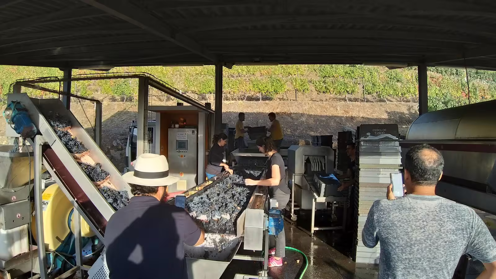 Visitors observe grape processing at a Douro Valley winery, capturing the authentic winemaking experience on a private tour.