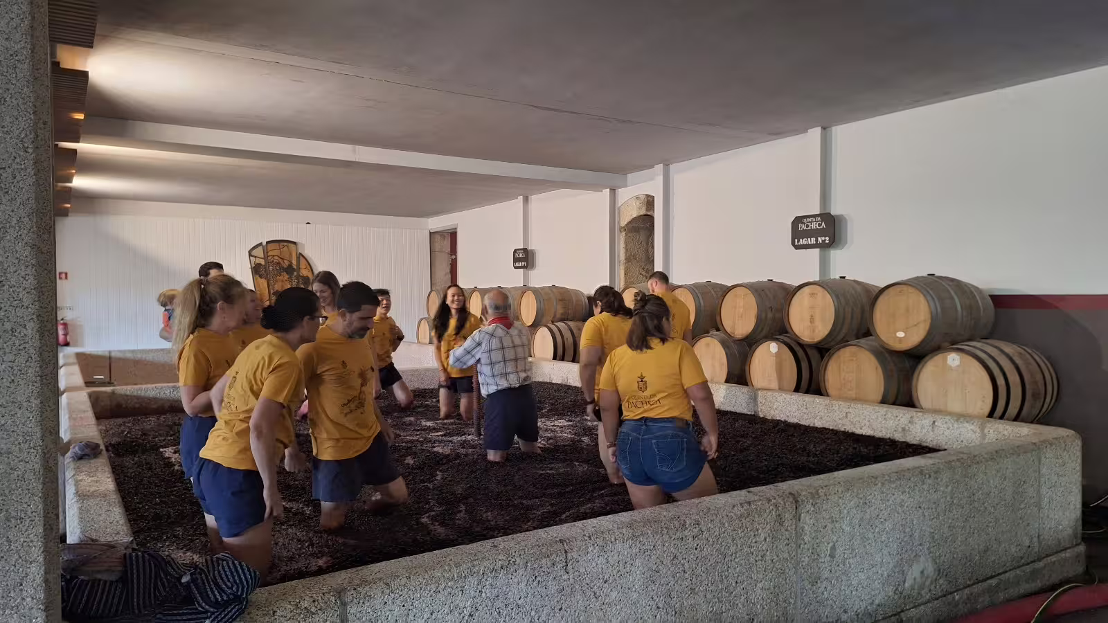 Visitors enjoying traditional grape stomping at a Douro Valley winery, surrounded by barrels in a rustic cellar setting.