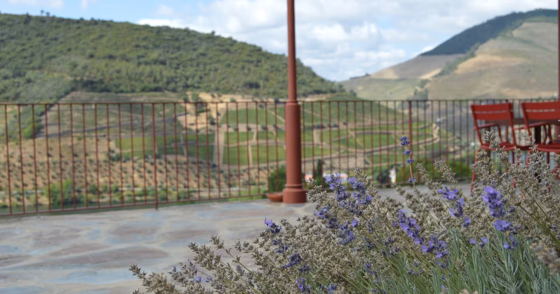 Winery terrace with lavender and vineyard views in Douro Valley, stop on Braga small-group wine tour and cruise