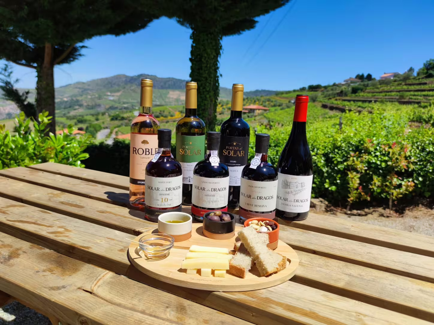 Assorted Port and Douro wines with cheese and bread on a wooden table, overlooking Douro Valley vineyards.