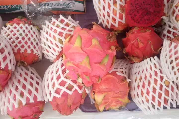 Fresh dragon fruits displayed in protective nets at a colorful Rio market on a tropical fruit tour.