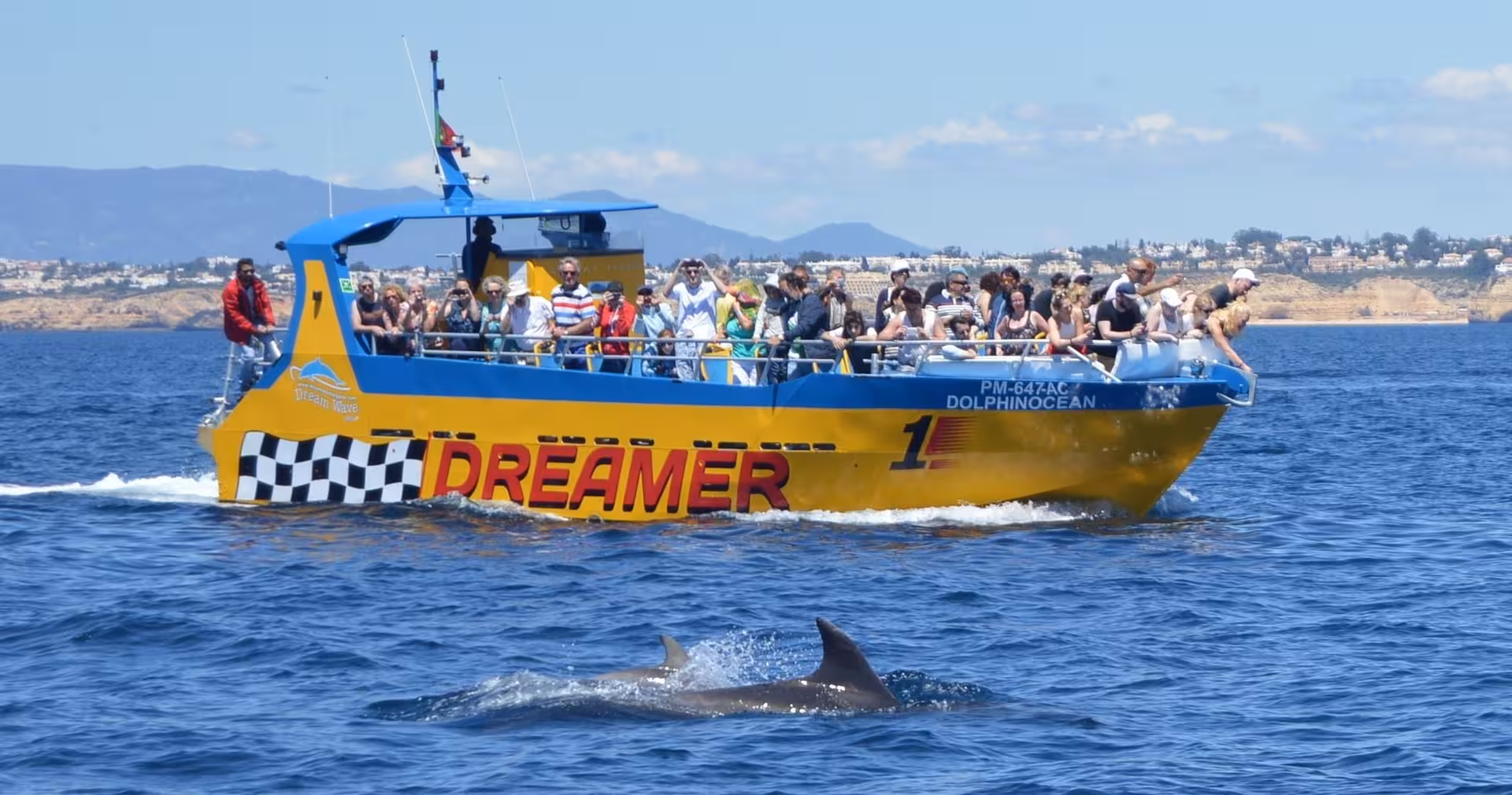Tourists enjoy a dolphin watching cruise on the Dreamer boat in the Algarve, with two dolphins swimming nearby.