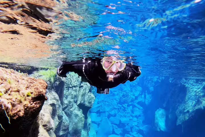 Snorkeler in drysuit exploring vibrant Silfra fissure underwater landscape in Iceland, surrounded by crystal-clear blue waters.