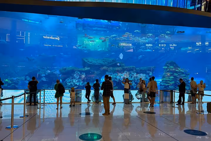 Dubai Aquarium at Dubai Mall on private Abu Dhabi to Dubai city tour with Burj Khalifa fountains show