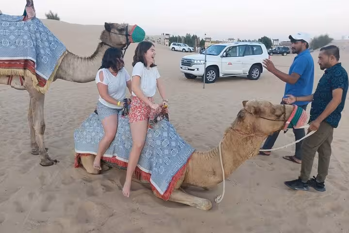 Camel ride experience in Dubai desert safari with guests mounting camel, plus dune drive and BBQ dinner tour