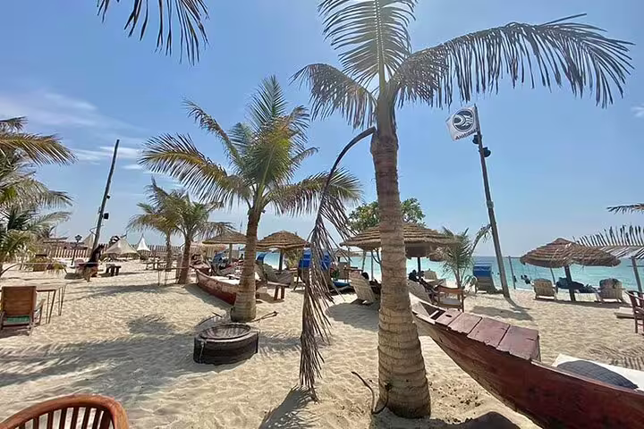 Scenic beach with palm trees and sun loungers, part of the Full-Day Six Emirates Tour from Dubai in a 4x4.