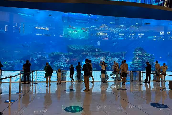 Dubai Mall Aquarium viewing area on Dubai city tour from Ras Al Khaimah, family-friendly kids under 12 free