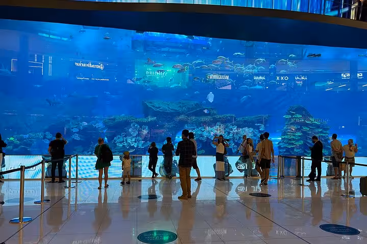 Dubai Mall Aquarium viewing area with visitors, popular family stop on private half-day Dubai city tour