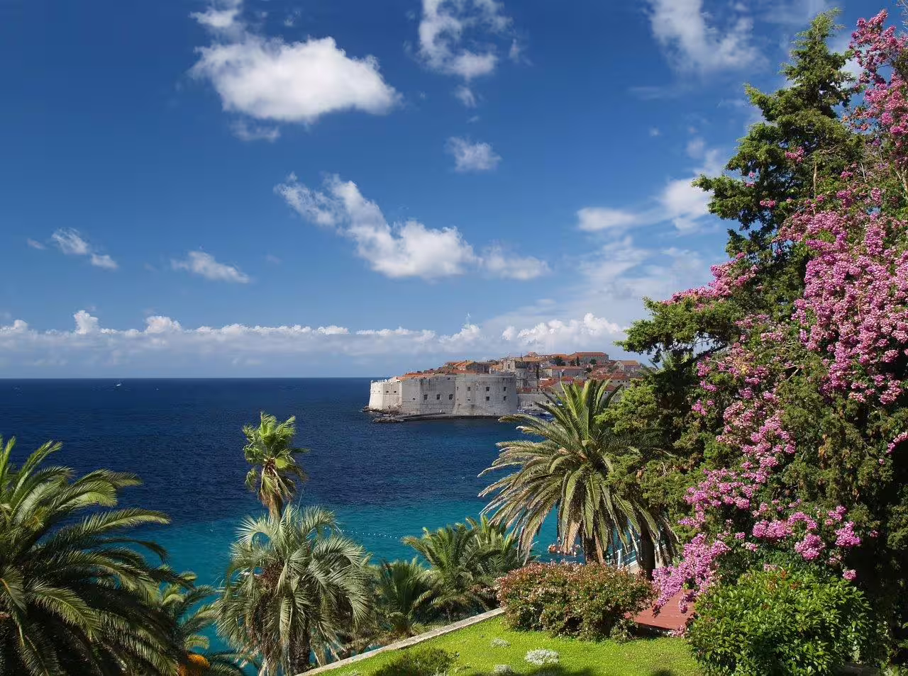 Panoramic Dubrovnik Old Town and Adriatic Sea framed by palms and flowers on a 3-day private tour
