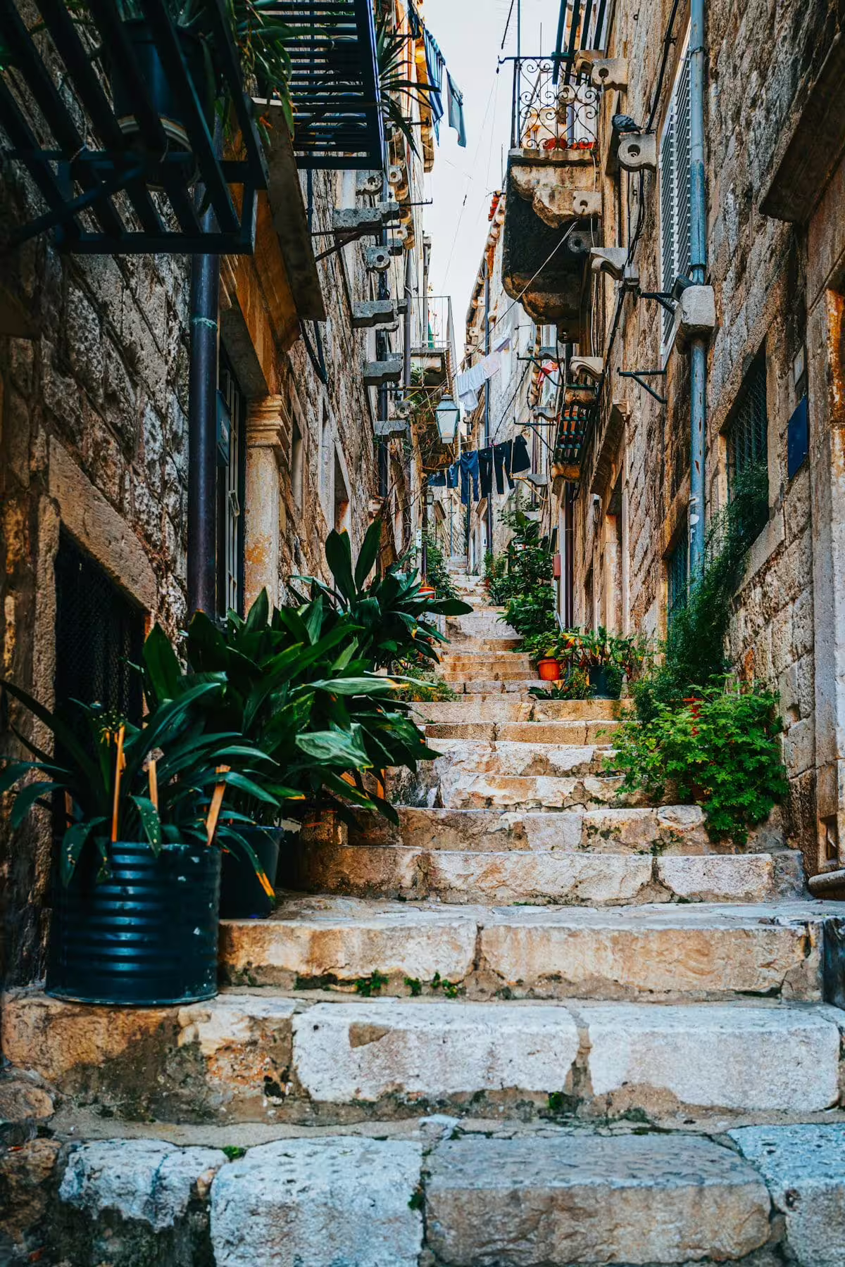 Stone stairway in Dubrovnik Old Town alley with balconies and plants, featured on guided group walking tour