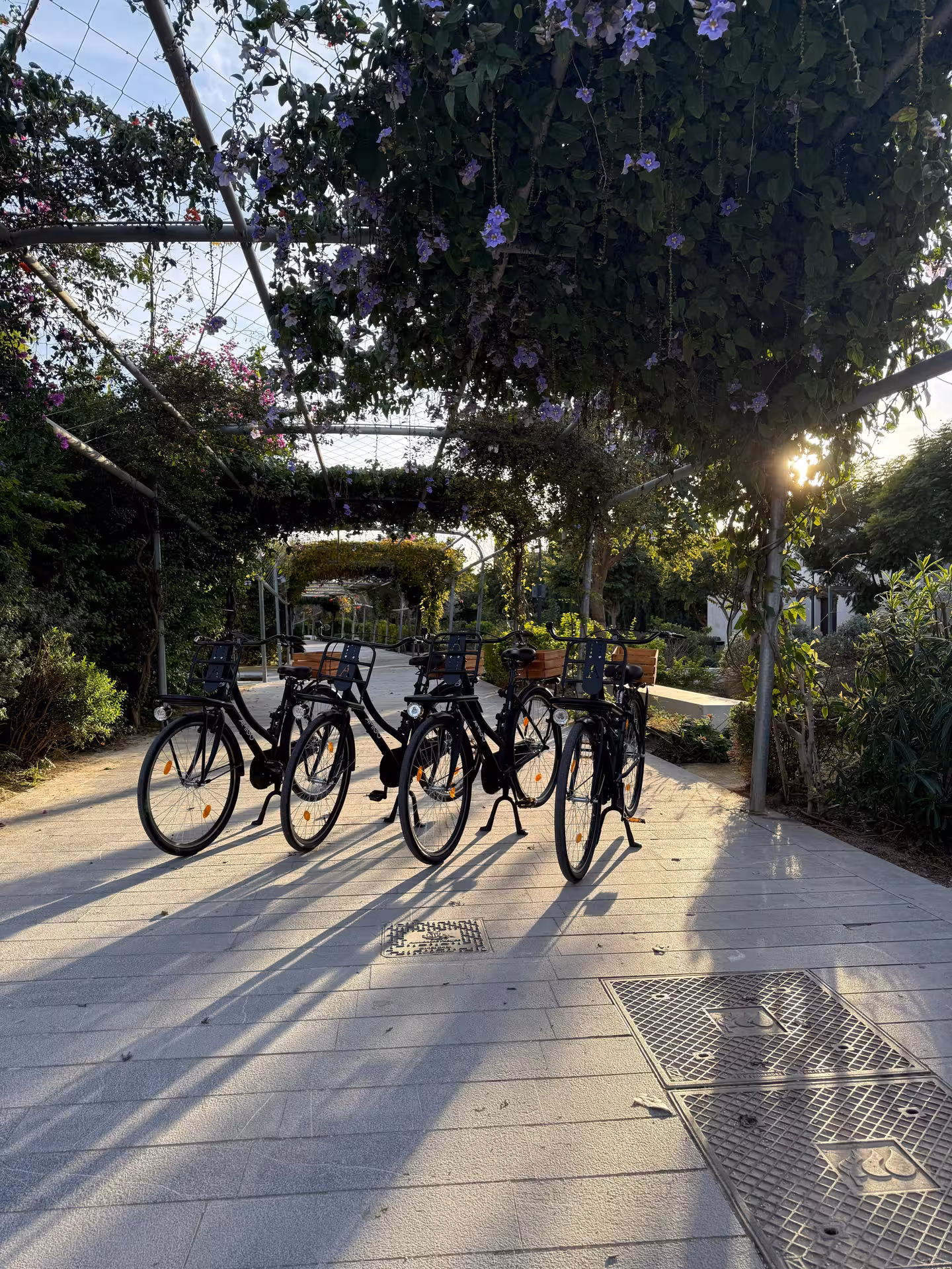 Dutch-style omafiets city bikes for rent lined up under a flowered pergola, perfect for easy sightseeing rides